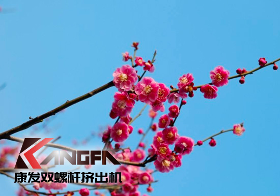 春光明媚,春意盎然！康發(fā)JSH系列雙螺桿造粒機(jī)組集中發(fā)貨 