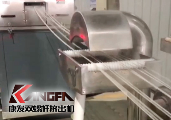 65高扭+PLC，尼龍加纖雙螺桿造粒機試機
