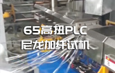 65高扭+PLC，尼龍加纖雙螺桿造粒機試機